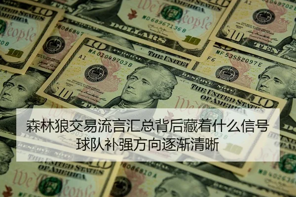 森林狼交易流言汇总背后藏着什么信号 球队补强方向逐渐清晰